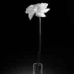 Komuna Beltinci - Osmrtnica